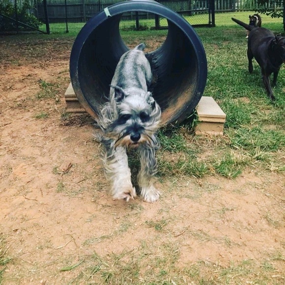 Meet your Posher, Lori - Picture 1 of 1